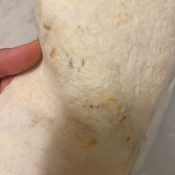 Ekmecik Tortilla Lavaşında Siyah Lekeler Ve Gıda Güvenliği İhlali