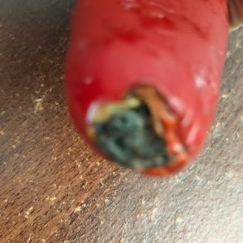 Carrefour'dan Bozulmuş Et Ve Sebze Teslimatı İçin Ücret İadesi Talebi