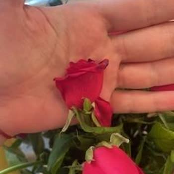 Çiçek Sepeti Teslimat Gecikmesi Ve Görseliyle Uyuşmayan Gül Buketi