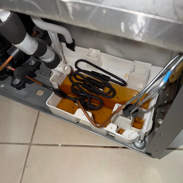 Garanti Buzdolabı Sızıntısı İçin 1750 TL Ücret, Servis Gelmeme Ve Randevu Sorunu