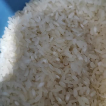 BİM Aksaray Şubesinden Satın Alınan Baldo Pirinçte Kurtlar: Hijyen İhlali Ve Değişim Talebi
