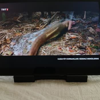 TRT 1'de Çıplak Deniz Kızı Sahnesi Aileyi Rahatsız Etti