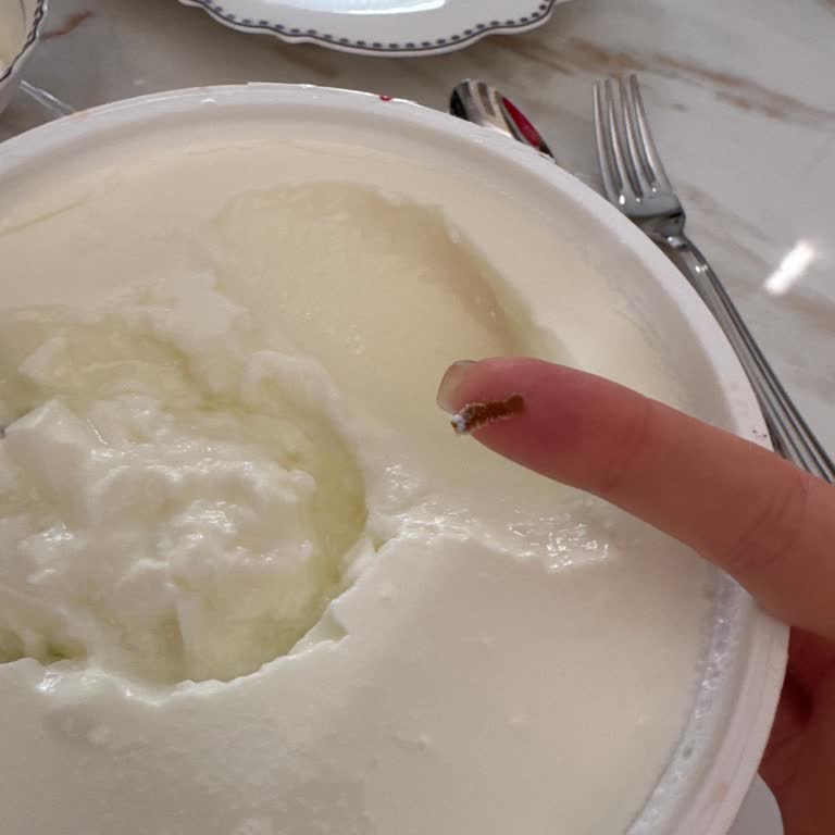 Yoğurtta Böcek Benzeri Yabancı Madde Bulunması Ve Gıda Güvenliği Şikayeti