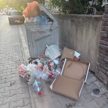 Çöp Konteyneri Sürekli Dolu; Kötü Koku Ve Aşırı Yük