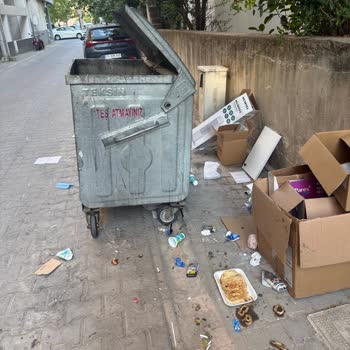 Çöp Konteyneri Sürekli Dolu; Kötü Koku Ve Aşırı Yük