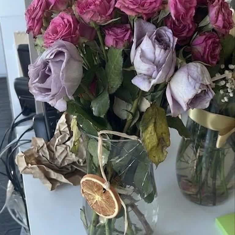 Lilyana Flowers'tan Solmuş Çiçek Ve Kırık Vazo, İade Taleplerine Cevap Alınamıyor