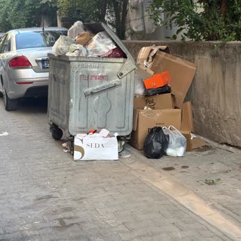 Karşıyaka’da Sürekli Taşan Çöp Konteyneri Ve Çevre Kirliliği