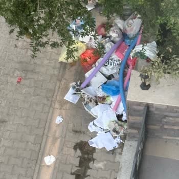Karşıyaka’da Sürekli Taşan Çöp Konteyneri Ve Çevre Kirliliği