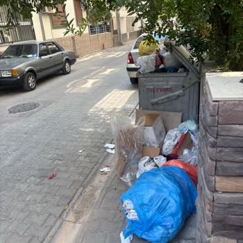 Karşıyaka’da Sürekli Taşan Çöp Konteyneri Ve Çevre Kirliliği