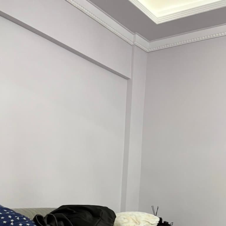 Katalogdaki Gri Boya Duvarda Lila Çıktı