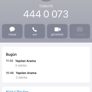 Esenler Belediyesi Hamile Kedinin Doğum İçin Kedi Evi Talebini Reddetti
