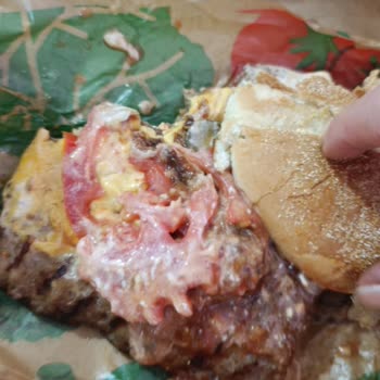 Köpeğe Verseniz Midesi Bulanacak Kadar Kötü Burger Ve Eksik İade