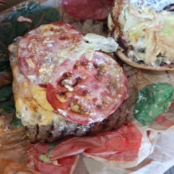 Köpeğe Verseniz Midesi Bulanacak Kadar Kötü Burger Ve Eksik İade