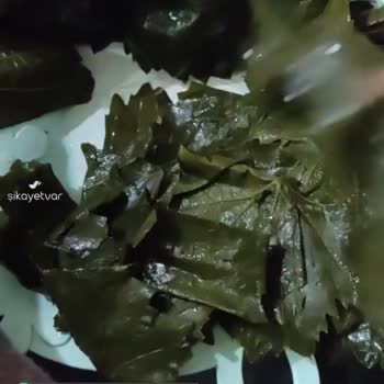 Yurtalan Yaprak, Kartlaşmış Yaprakları Müşterilerine Satmaya Çalışan Firma