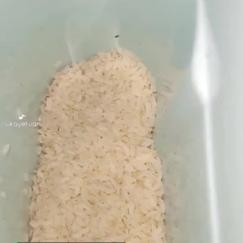 Hasata Pirinçten Böcekler Çıktı Hem De Bir Sürü
