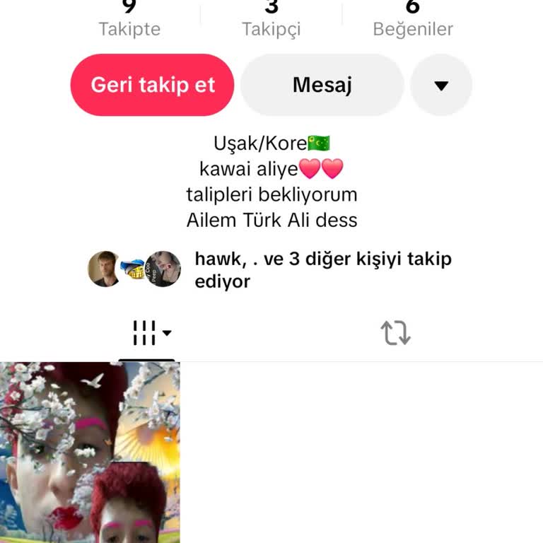 TikTok'ta İzinsiz Fotoğraf Kullanımı Ve Sahte Hesap Şikayeti