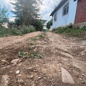Engelli Kardeş İçin Bozuk Yolun Acilen Onarılması Talebi