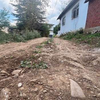 Engelli Kardeş İçin Bozuk Yolun Acilen Onarılması Talebi