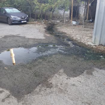 İstanbul Büyükşehir Belediyesi Atıksu Sızıntısı Bahçemizi Zehirli Kılıyor: Çözüm Bekliyoruz