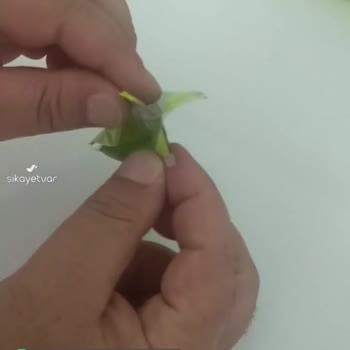 Şölen Nutymax Mini Paketinin İçi Boş Çıktı