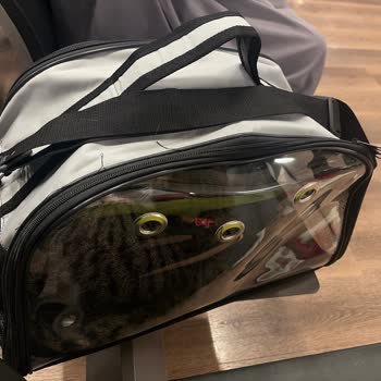 Keyfi Pet Çantası Reddi Ve 2500 TL Zorunlu Harcama