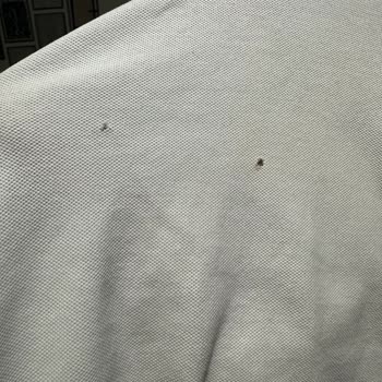 Beymen Tişörtlerimde Açılan Delikler Ve Sarı Lekeler, İnceleme Sonrası Durum Daha Da Kötüleşti
