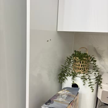 A101 Papia Asmalı Havlu Yapışkanı Dolabımı Zedeledi