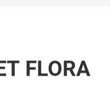 Trendyol’da Velvet Flora’den Gelen Sahte Skin1004 Güneş Kremi İçin İade Ve Satıcı Kapatma Talebi