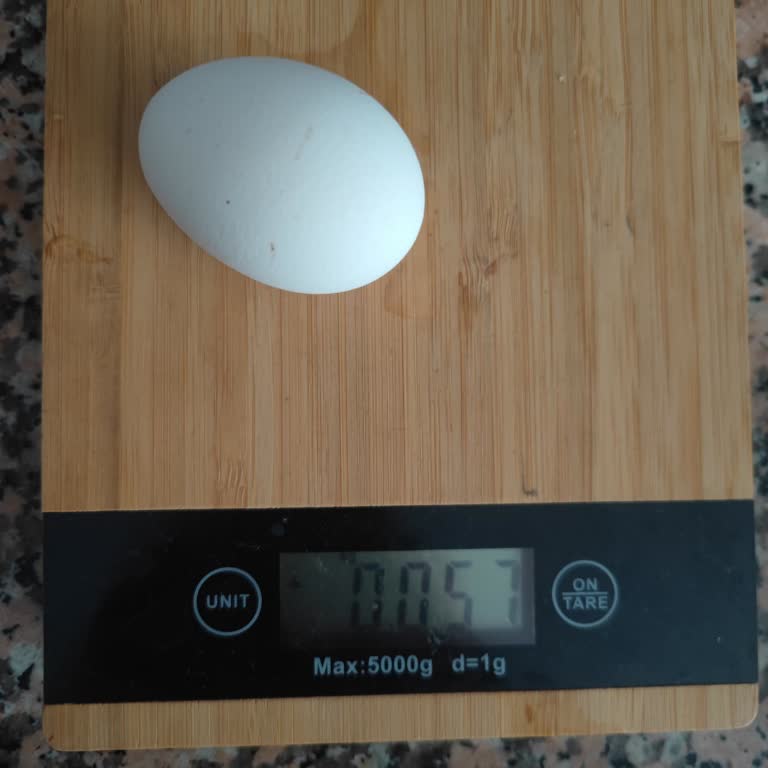 Yanıltıcı Gramaj Ambalajdaki Bilgiyle Uymayan Yumurta Satışı