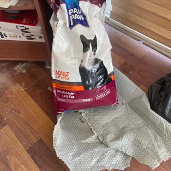 Yeşil Renkli Ve Ekşi Kokulu Kedi Maması Ürün Değişimi Ve İade Talebi