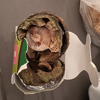 A101 Kuşadası Şubesinde Satılan Küflü Avokado Sağlık Riskine Yol Açıyor