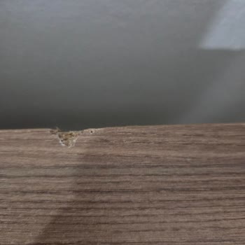 Modalife'den Hasarlı Şifonyer Ve Komodin Teslimatı, Cevapsız Servis