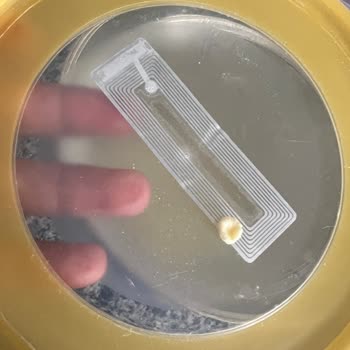 Bebek Mamasında Tanecik Bulunması Ve Ücret İadesi Talebi