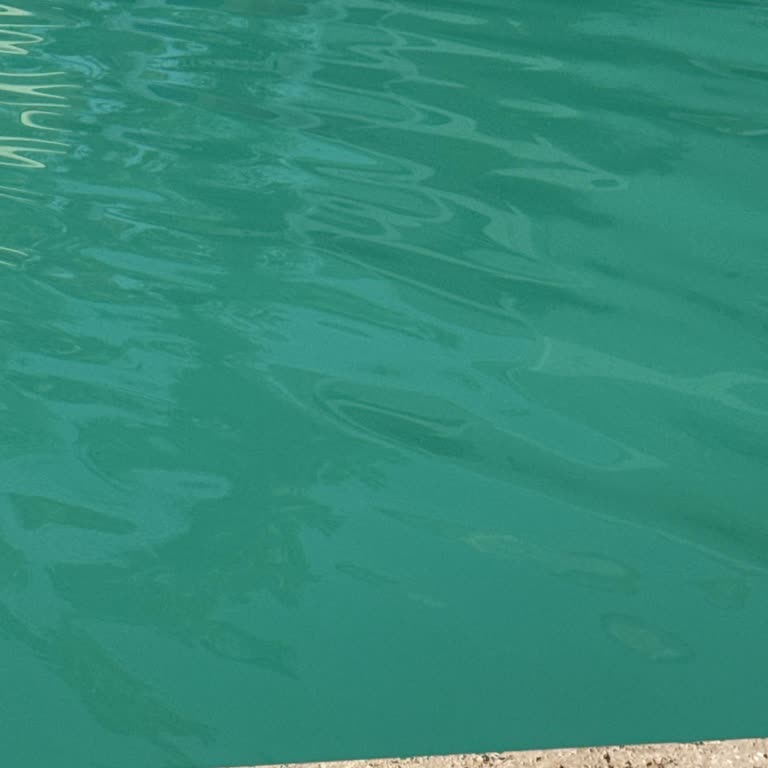 Dionisus Otelinde Hijyen, Yemek Ve Hizmet Çöküşü