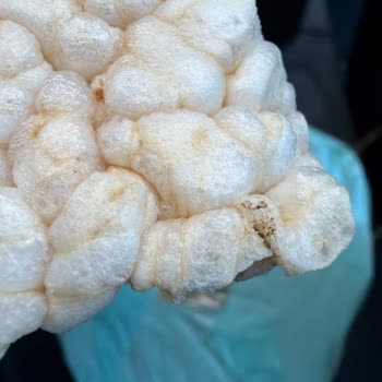 Glütensiz Fabrika Basmati Pirinç Patlağında Küf Ve Kötü Koku