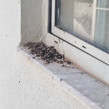 Otel Personelinin Kaba Ve Tehditkar Davranışı