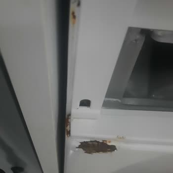 Garanti Sonrası Beko Çamaşır Makinesinde Erken Paslanma Ve Yüksek Onarım Ücreti