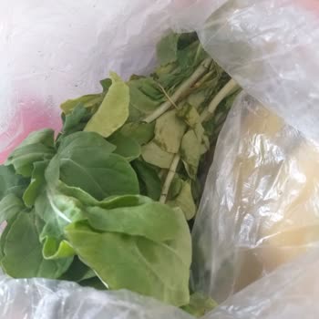 Migros Sanal Market'te Çürük Ürün Teslimatı Ve İade Talebine Cevap Alınamıyor