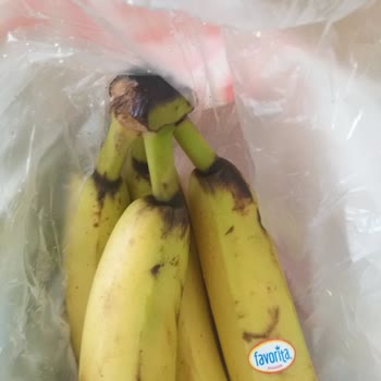 Migros Sanal Market'te Çürük Ürün Teslimatı Ve İade Talebine Cevap Alınamıyor