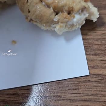 Dardanel Yabancı Madde