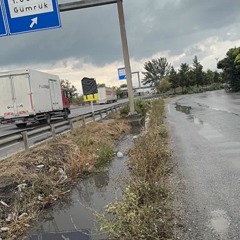 Arifiye Başak Sokakta Su Birikintileri Ve Otların Temizlenmesi İçin Yetkiliden Çözüm Talebi