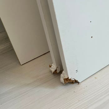 Adore Mobilyada Kırık Panel Sorunu Ve Yedek Parça Tesliminde Uzun Bekleme