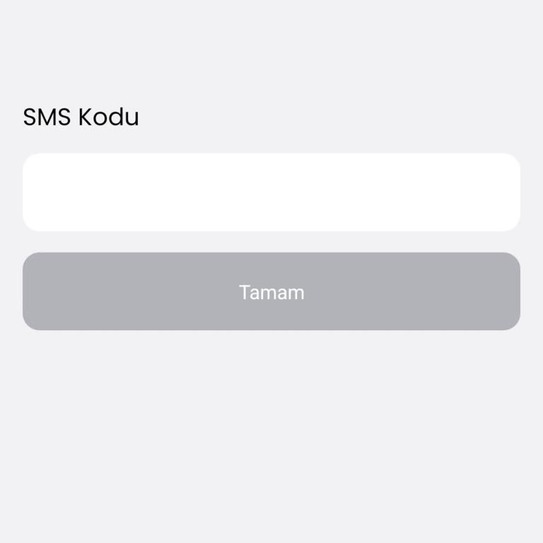 Yeni Telefonumda SMS Doğrulama Kodu Gelmiyor, Uygulamaya Giriş Yapılamıyor