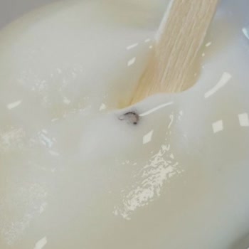 Tatdo Sade Dondurmadan Böcek Çıktı