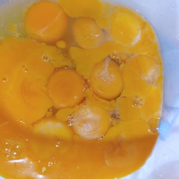 Bozuk Yumurta Ve Sağlık Endişesi Evren Kaya Markasından İade Talebi