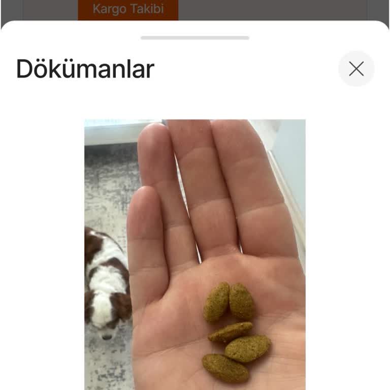 Meta Pet Satıcısından Gelen Köpek Maması Sahte Ve İade Talebim Reddedildi