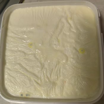 Migros’ta Mavi Küflü Tava Yoğurdu Satışı Ve Sağlık Endişesi