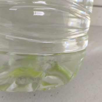 Sultan Markalı 5 Litre Su Şişesinde Kısa Sürede Yosun Oluşması Ve Güven Kaybı