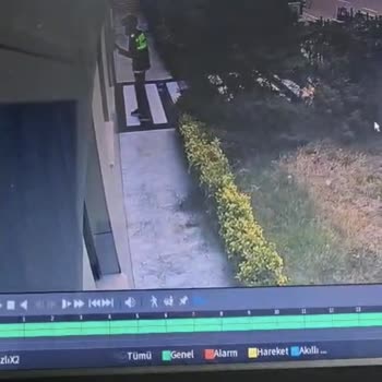 Vigo Kuryelerinin Kapı Ziliyle Yarattığı Güvensizlik Ve Hızlı Açıklama Talebi