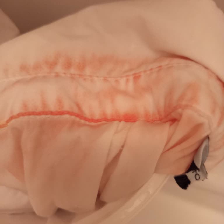 Domestos Deja Camisas Blancas con Manchas Rosas, Pido Reembolso